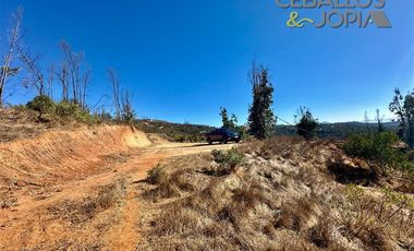 Parcela en Venta en Parcelación Verde Mar, (Belloto) Limache