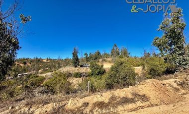 Parcela en Venta en Parcelación Verde Mar, (Belloto) Limache