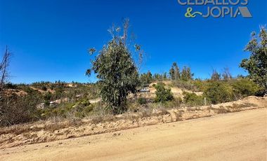Parcela en Venta en Parcelación Verde Mar, (Belloto) Limache