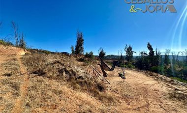 Parcela en Venta en Parcelación Verde Mar, (Belloto) Limache