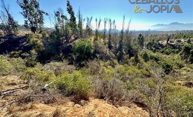 Parcela en Venta en Parcelación Verde Mar, (Belloto) Limache