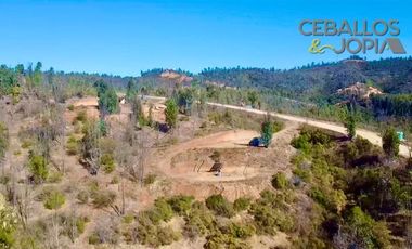 Parcela en Venta en Parcelación Verde Mar, (Belloto) Limache