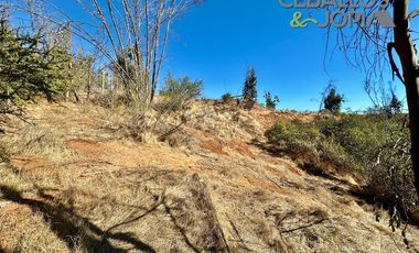Parcela en Venta en Parcelación Verde Mar, (Belloto) Limache