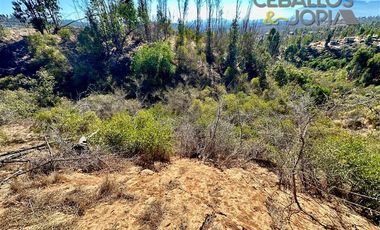 Parcela en Venta en Parcelación Verde Mar, (Belloto) Limache