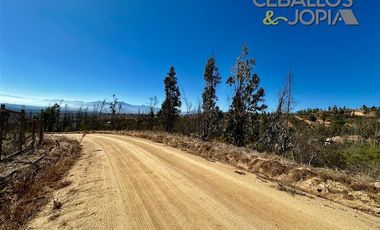 Parcela en Venta en Parcelación Verde Mar, (Belloto) Limache