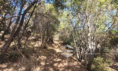 Parcela en Venta en (KRM)Parcela 122 ha| 3 Casas| Quincho| Piscina |Pozo| Vertiente| Arboles Frutales- Nogales| Acceso por ruta F-760