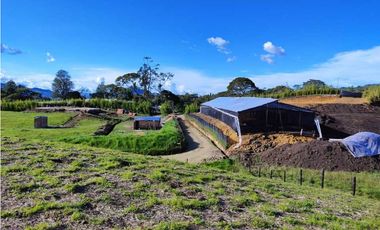Lote a la venta en Parcelacion abierta La Ceja