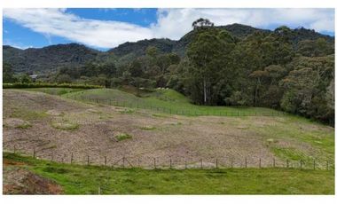 Lote a la venta en Parcelacion abierta La Ceja