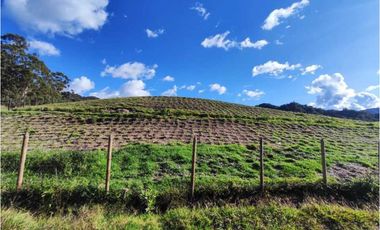 Lote a la venta en Parcelacion abierta La Ceja