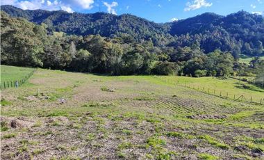 Lote a la venta en Parcelacion abierta La Ceja