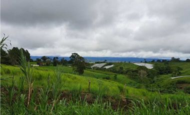 VENDO FINCA DE 132 HECTAREAS CAÑAS GORDAS