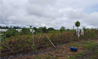 VENDO FINCA DE 132 HECTAREAS CAÑAS GORDAS