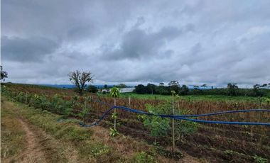 VENDO FINCA DE 132 HECTAREAS CAÑAS GORDAS