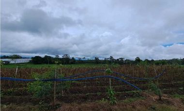 VENDO FINCA DE 132 HECTAREAS CAÑAS GORDAS