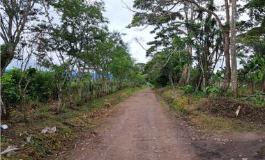 VENDO FINCA DE 132 HECTAREAS CAÑAS GORDAS