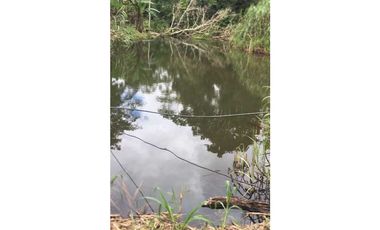 VENDO FINCA DE 132 HECTAREAS CAÑAS GORDAS