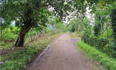 VENDO FINCA DE 132 HECTAREAS CAÑAS GORDAS