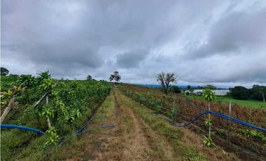 VENDO FINCA DE 132 HECTAREAS CAÑAS GORDAS