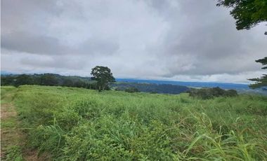 VENDO FINCA DE 132 HECTAREAS CAÑAS GORDAS