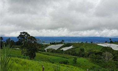 VENDO FINCA DE 132 HECTAREAS CAÑAS GORDAS