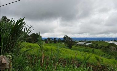 VENDO FINCA DE 132 HECTAREAS CAÑAS GORDAS