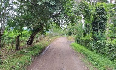 VENDO FINCA DE 132 HECTAREAS CAÑAS GORDAS