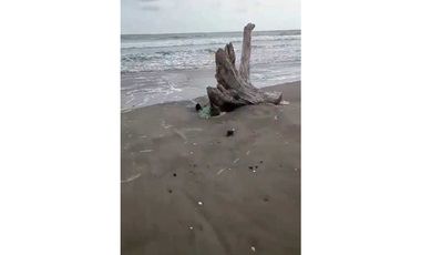 VENDO UNA HECTAREA DE PLAYA EN DERECHO POSESORIO