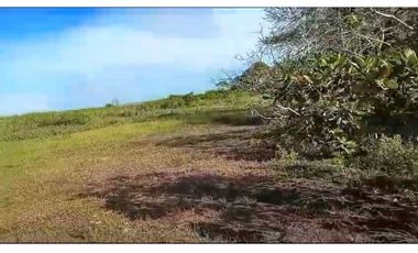 VENDO UNA HECTAREA DE PLAYA EN DERECHO POSESORIO