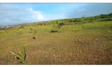VENDO UNA HECTAREA DE PLAYA EN DERECHO POSESORIO