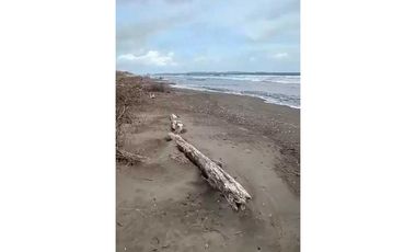 VENDO UNA HECTAREA DE PLAYA EN DERECHO POSESORIO