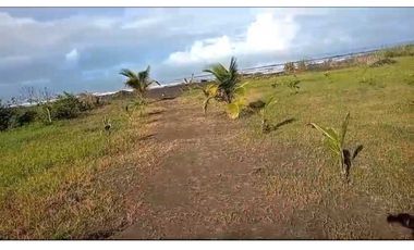 VENDO UNA HECTAREA DE PLAYA EN DERECHO POSESORIO