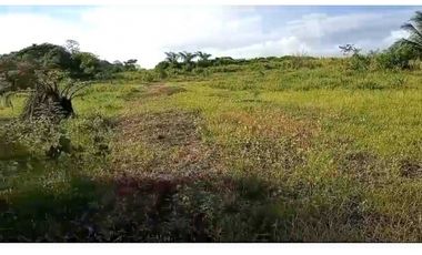 VENDO UNA HECTAREA DE PLAYA EN DERECHO POSESORIO