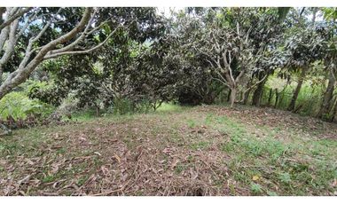 Se vende finca de 6400 M2 en 320 mil en La Mesa Cund, COL