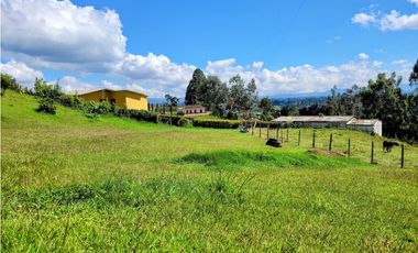FINCA EN GUARNE CON POTENCIAL ILIMITADO