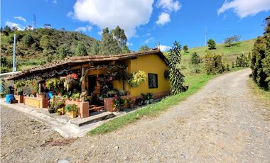 FINCA EN GUARNE CON POTENCIAL ILIMITADO