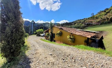 FINCA EN GUARNE CON POTENCIAL ILIMITADO