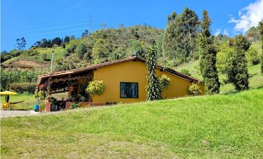 FINCA EN GUARNE CON POTENCIAL ILIMITADO