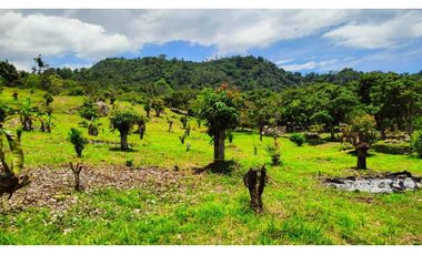 Lotes Económicos en San Antonio del TEQUENDAMA cerca Bogotá