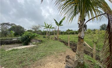 VENTA FINCA FILANDIA QUINDIO