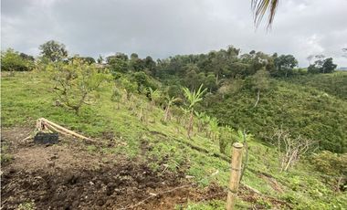 VENTA FINCA FILANDIA QUINDIO
