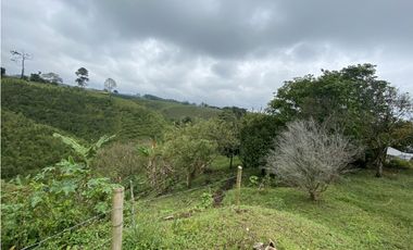 VENTA FINCA FILANDIA QUINDIO