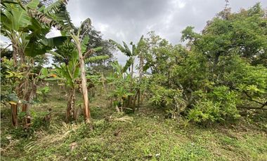 VENTA FINCA FILANDIA QUINDIO