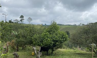VENTA FINCA FILANDIA QUINDIO