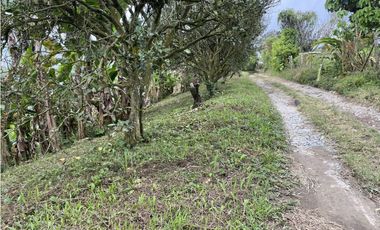VENTA FINCA FILANDIA QUINDIO