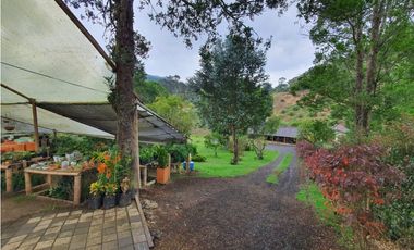 Finca recreativa en el Retiro