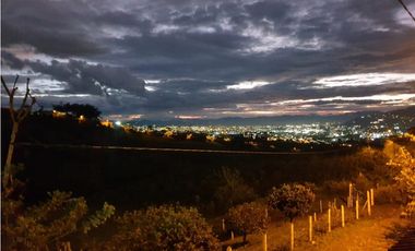 SE VENDE O PERMUTA FINCA EN DOSQUEBRADAS AREA 19.500M2