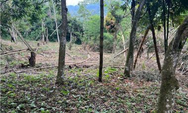Lote Grande Y Económico En Tierra Caliente