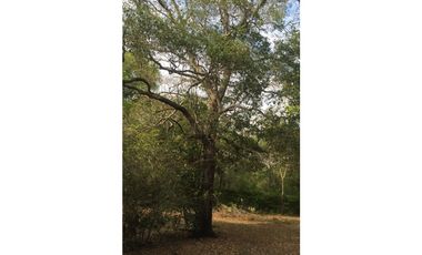 VENDO LOTE VEREDA PIEDEMONTE, GIRARDOT