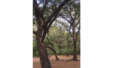 VENDO LOTE VEREDA PIEDEMONTE, GIRARDOT