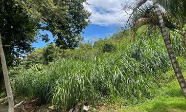 LOTE EN VENTA EN SECTOR BELMONTE/PEREIRA